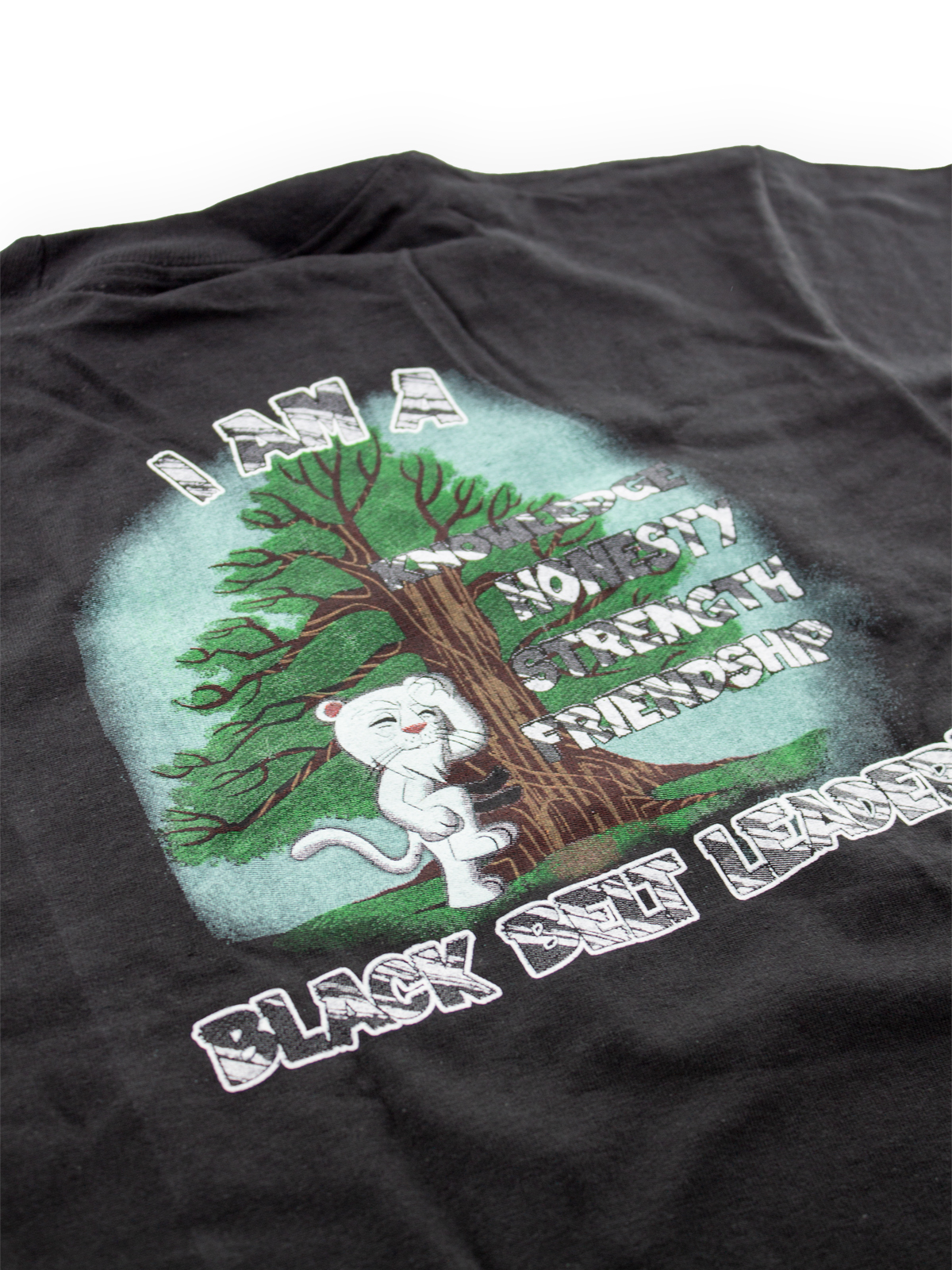 Master Jahngsoo T-Shirt - image 4 of 4